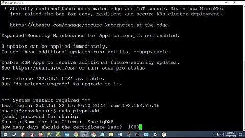 How to Add Client in pivpn and  How to Check Clients Log  OpenVPN  Virtual Private Network #openvpn