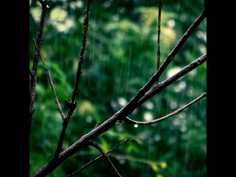 Petrichor [2018]