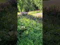 4 сентября 2024 г.
