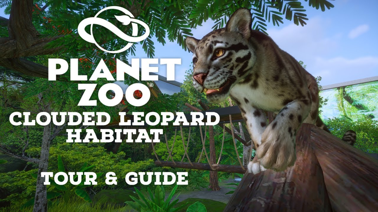 Planet Zoo: Clouded Leopard Habitat - Tour & Guide - YouTube