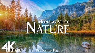 Morning Relaxing Music - Nature Relaxation Film 4K - Peaceful Relaxing Music - Video UltraHD