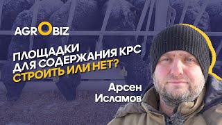 Открытое содержание Ангусов в Казахстане: корма, защита от ветра и выгодная реализация КРС