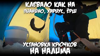 Клевало как на пианино, хариус, ерши. Установка крючков на налима