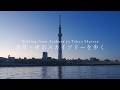 【まち歩き】浅草～東京スカイツリーの新旧交わる街を歩く。どこからでも見える東京スカイツリーに圧倒され続けた日のVlog。【東京観光】/ Japan Travel, Walking in Tokyo.