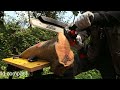 Cut Slices as you like-Kebtek 8Inch Chainsaw