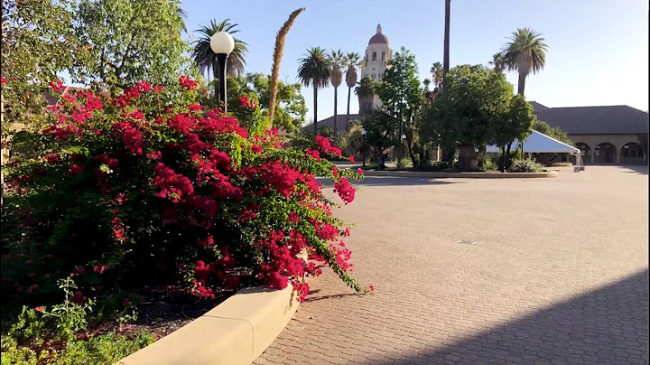 Radiology Residency - Meet the Faculty