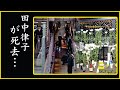 田中律子の晩年の闘病生活…田中律子が自ら命を絶った理由…