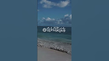 ألم نجعل الأرض كِفاتا - سورة المرسلات - ياسر الدوسري - #قرآن