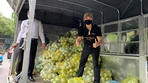 Tiêu thụ 10 tấn nông sản Bắc Giang - BNI Ocean Chapter chung tay vượt khó khăn dịch bệnh | AN Media