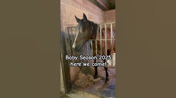 First group of yearlings has arrived! ￼Baby season 2025! #harnessracing #horse #shortvideo #yearling