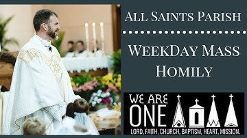 Immaculate Conception - Weekday Homily 12.8.20 - All Saints Parish Live