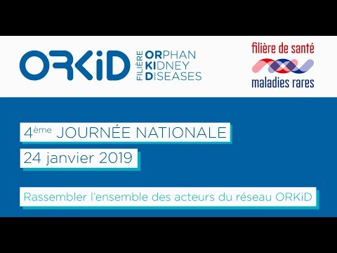 Présentation générale de la journée