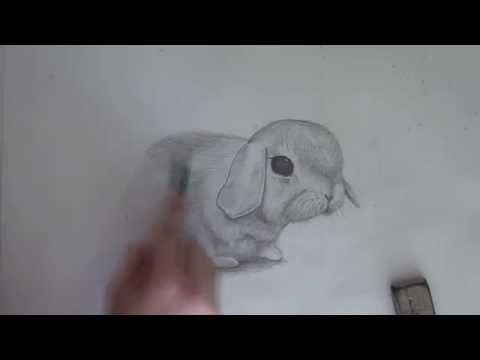 Как нарисовать кролика / How to draw rabbit