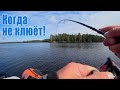 ВСЕГДА МОЖНО ПОЙМАТЬ!!! РЫБАЛКА В БЕСКЛЁВИЕ!!!