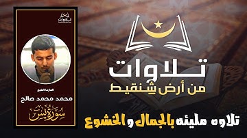 تلاوة مرئية بديعة تنبض بالجمال والخشوع،/القارئ محمد صالح❤️/تلاوات من أرض شنقيط 🩷