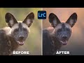 LIGHTROOM Editing TIPS: POWER Of ATMOSPHERE