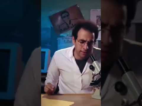 الدحيح الجرثومة