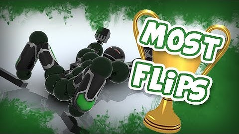 Most Flips - Zockinator (Toribash)