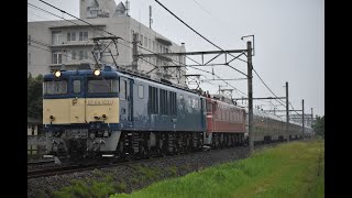 2025/6/3 9012レ EF64 1031+EF81 81+E26系12B 団体臨時列車カシオペア紀行上野行き