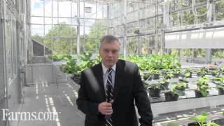 Research At the New Greenhouse at Agriculture and Agri-Food Canada's  SCPFRC.