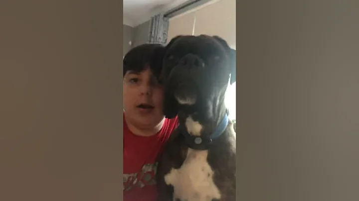 First vid going to be my dogs YouTube chan