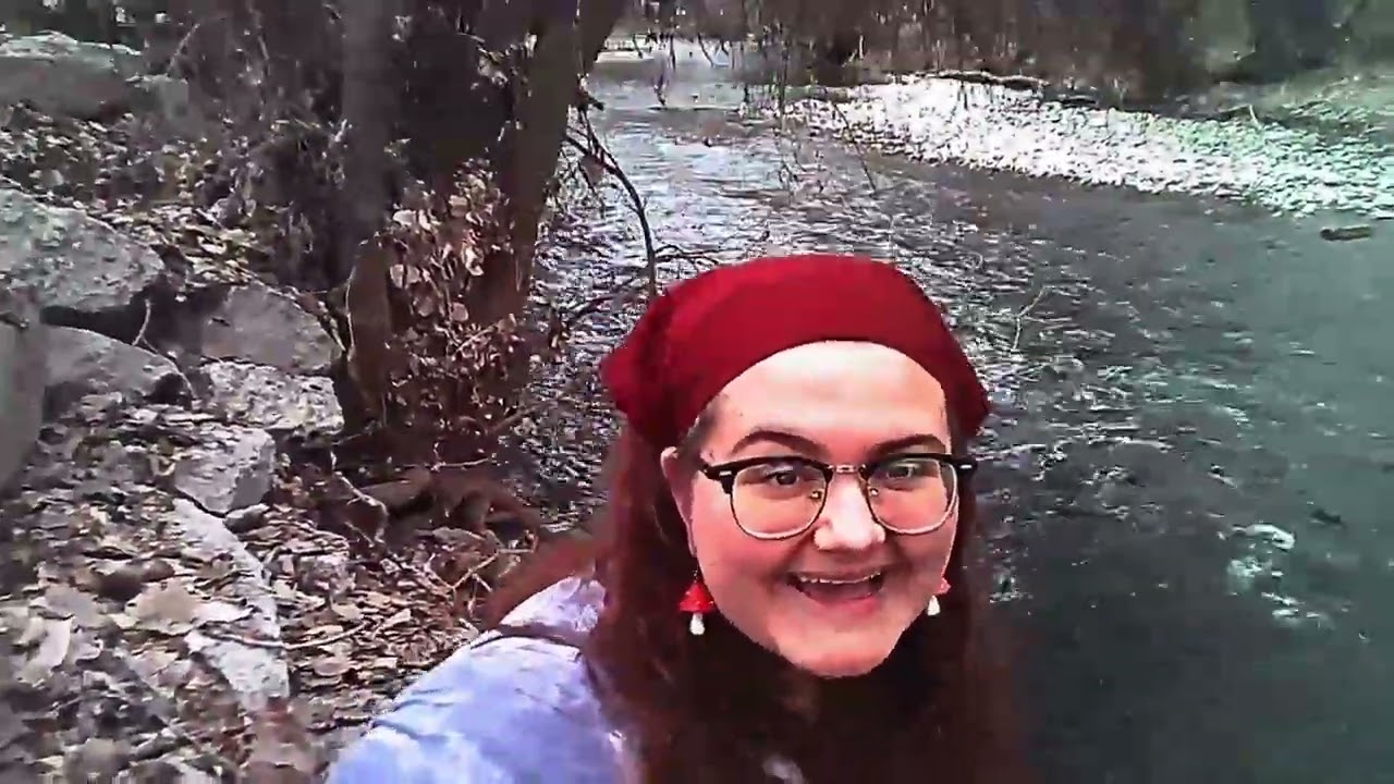 Orchard of Strings interviews Anni Pasto