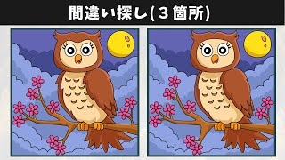 картинка: Найдите 3 отличия | Иллюстрация Версия #868