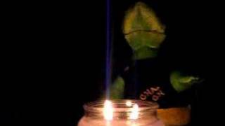 Evil Cha Cha Turtle