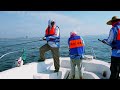 Esperanto el Ĉinio  "Mara paŝtejo kreas ekologian"