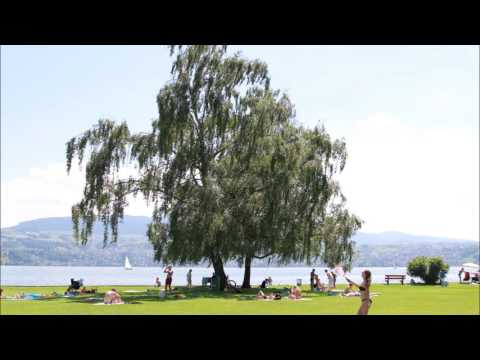 Hyperlapse Photography Tree Test