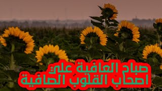 صباحكم معطر بذكر الله ..الا بذكر الله تطمئن القلوب. دردشة رقم 38