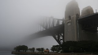 Protestor who climbed the Sydney Harbour Bridge pleads guilty