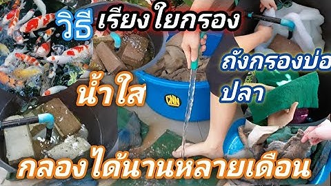 วิธีเรียงใยกรองถังกรองบ่อปลาให้น้ำใสกรองได้หลายเดือนโดยไม่ต้องล้างบ่อย