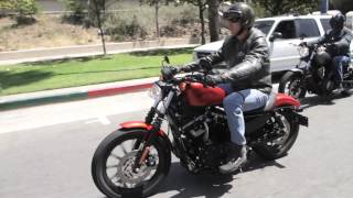 2014 Star Bolt vs. 2013 Harley-Davidson 883 Iron