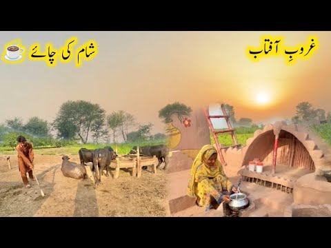 Shaam Ki Chaaye || Village Vlogs 