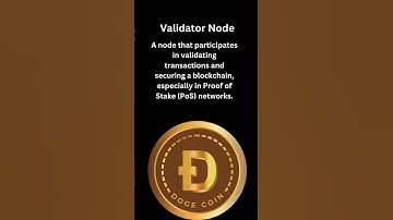 Validator Node | Must-Know Cryptocurrency Terms Explained Simply