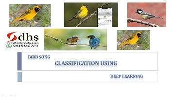 Bird Song Classification Using Deep Learning| BE Projects | M.tech Projects | IEEE projects  | ML