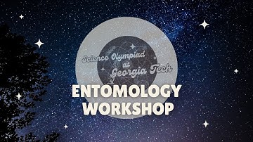 Entomology Div. B/C Workshop | SciOly@GT 2024 Event Workshop Series