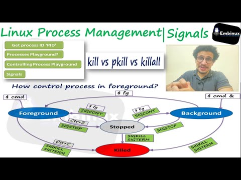 12-Linux Process Management | Signals (kill, pkill, killall)