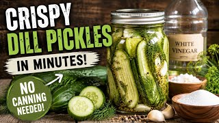 Homemade Crispy Dill Pickles in Minutes | No Canning or special equipment Required