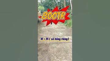 Đất Dầu Tiếng I Bán gấp lô đất Ngộp ngay trung tâm 10 × 35 ( sổ riêng  ) #datdautieng