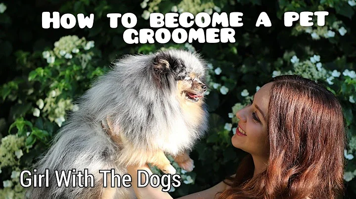 How to become a pet groomer | How much money do groomers make? - DayDayNews