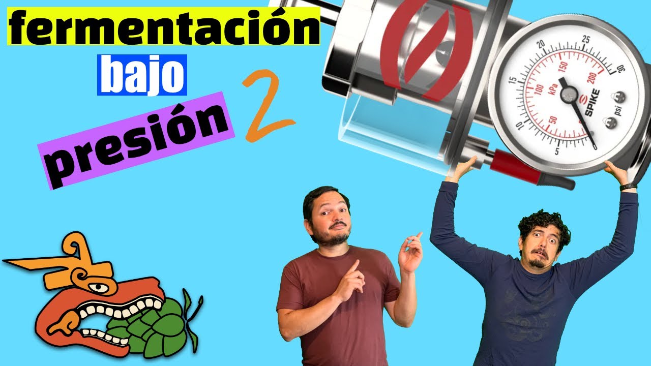 Detalles sobre fermentación de cerveza bajo presión