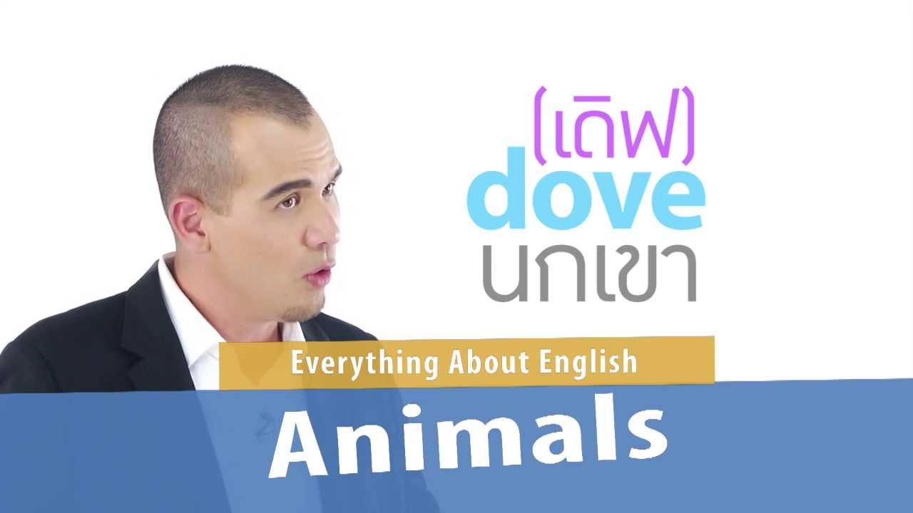 [Clip] Click : Everything About English : Animals : ออกเสียงสัตว์แบบผิดๆ