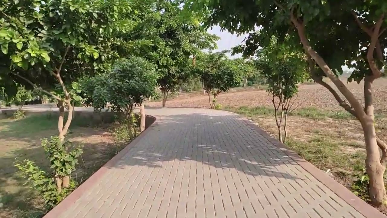 Redmi Note 10 Camera Stabilization Test (1080p 60fps) 
