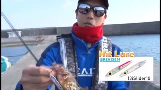 ルアー合衆国/バイスライダーでメッキゲーム【BREADEN】