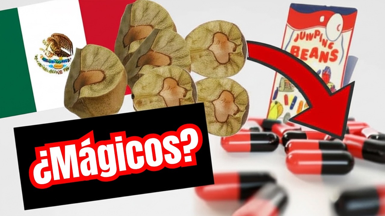 ¿Qué hay dentro de los frijoles saltarines? - YouTube