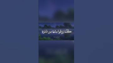 محمد اللحيدان قرآن كريم #قرآن #قران_كريم #محمداللحيدان #quran #fyp