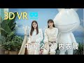 3D VR180 2020中国深圳内衣展