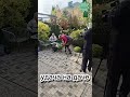 удача на даче